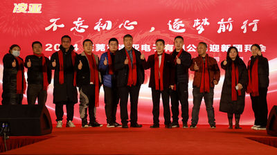 Dongguan Suntech Electronics Co., Ltd.